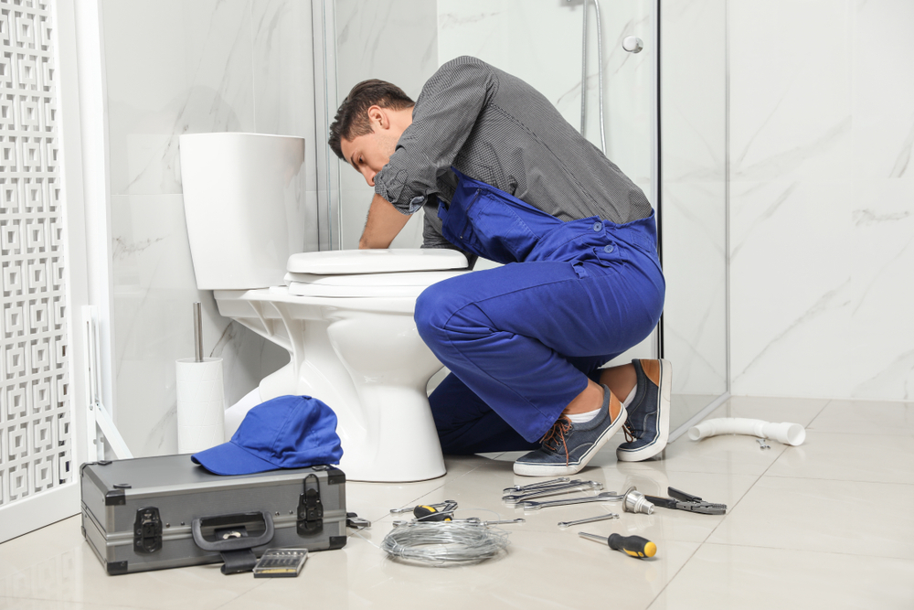 Toilet Repair Specialists